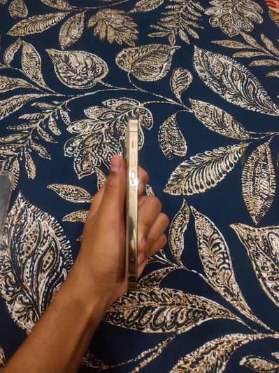 Apple iPhone 12 Pro