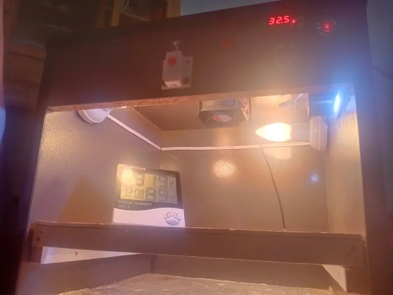 50 Eggs Incubator with Premium Silicon Cover — photo 2