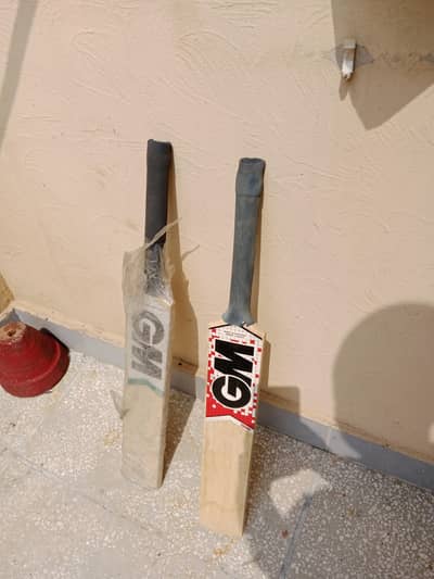 Bat for seal