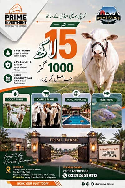 Farmhouse & Cattlefarm Land