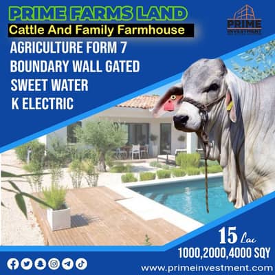 1,000 Sq. Yard Just Rs. 15 Lac! Limited Time Discount Offer
