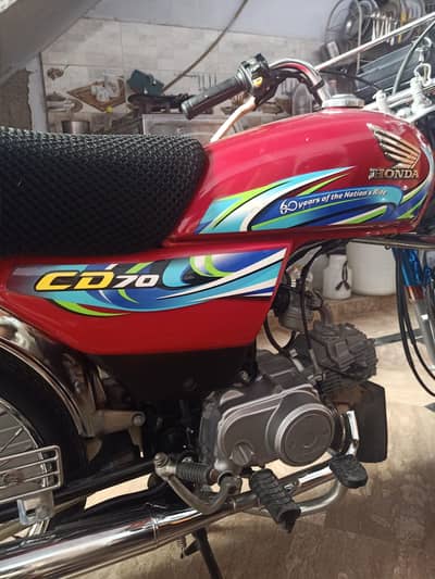 Cd70 2023/2024