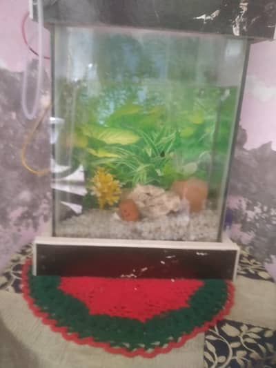 fish tank in one month use no 03281452084