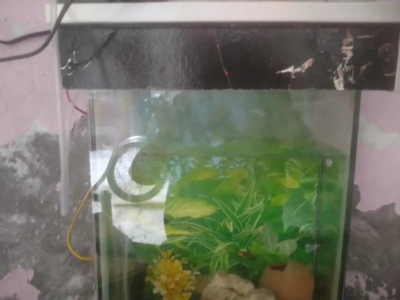 fish tank in one month use no 03281452084 — photo 2