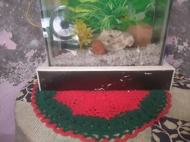 fish tank in one month use no 03281452084 — photo 3