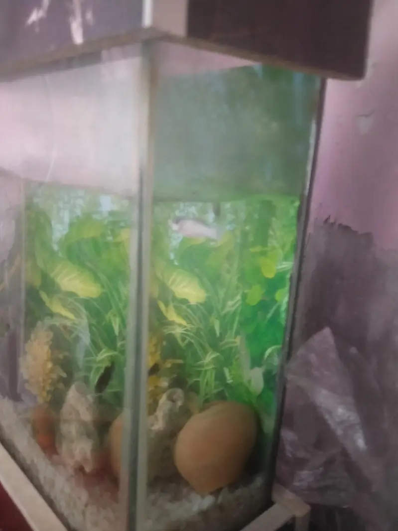 fish tank in one month use no 03281452084 — photo 4