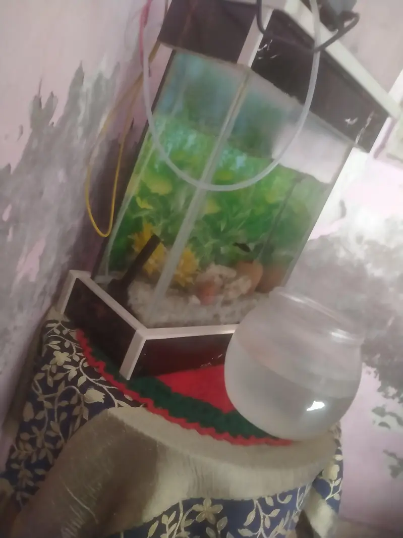fish tank in one month use no 03281452084 — photo 8
