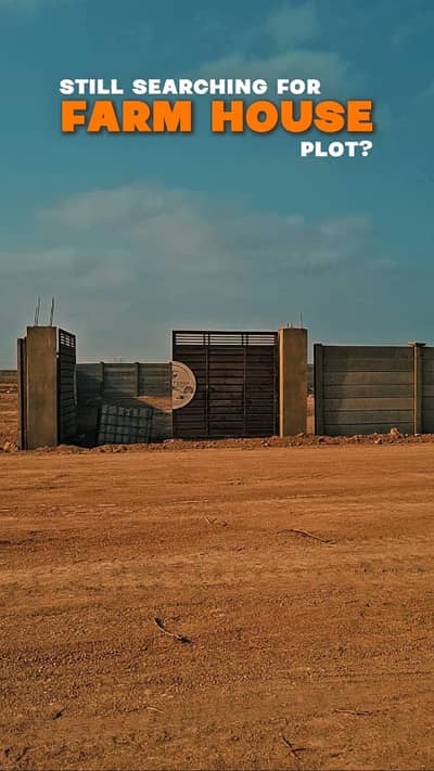 Cattle farm land