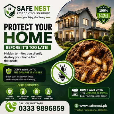 Termite Treatment Experts – Safe, Effective & Long-Lasting Protection