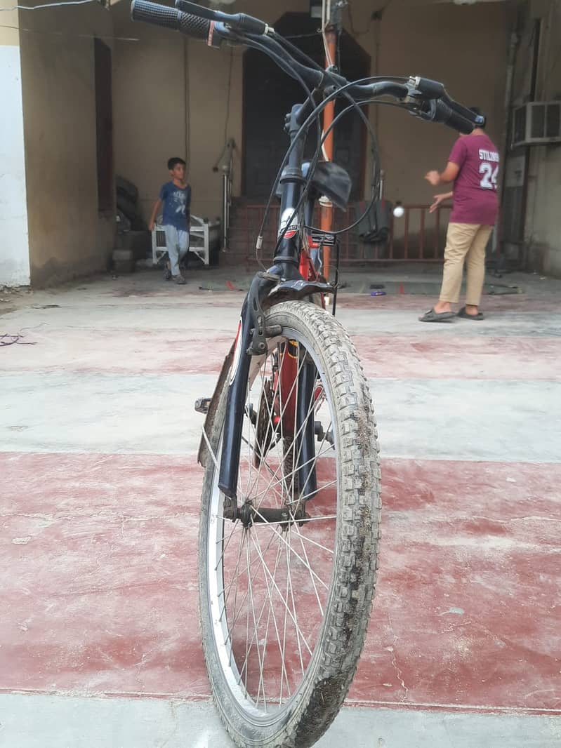 Cycle 3