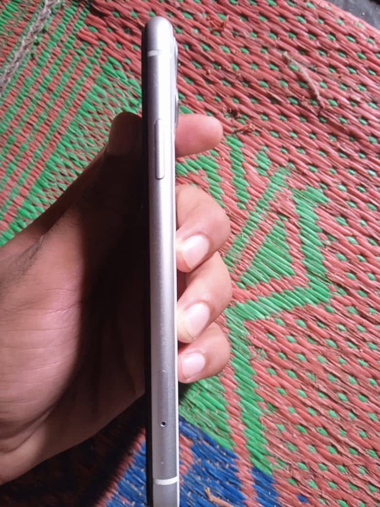 Apple iPhone 11 0