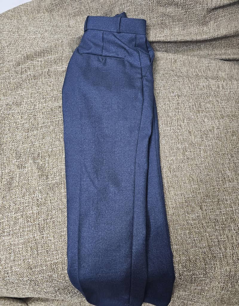 fancy coat pent 2