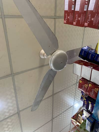 celing fan