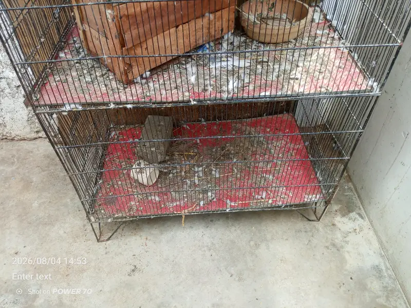 good condition for sell — photo 3