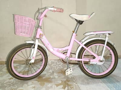 IMPORTED BICYCLE