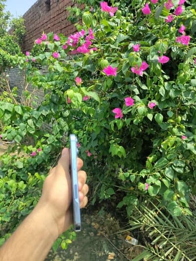 Apple iPhone 13 Pro