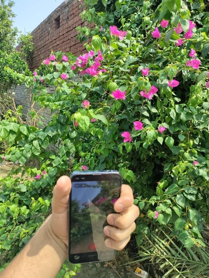 Apple iPhone 13 Pro 4