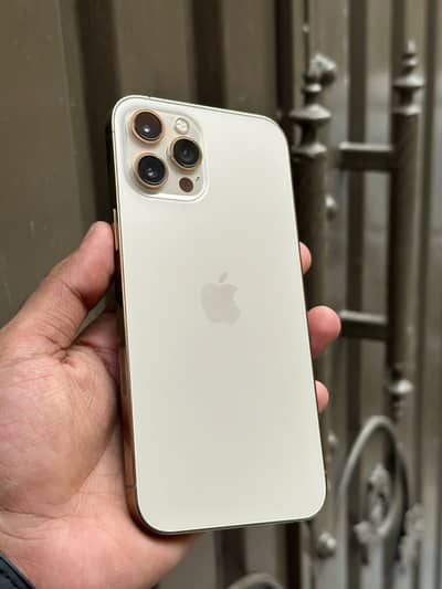 Apple iPhone 12 Pro Max