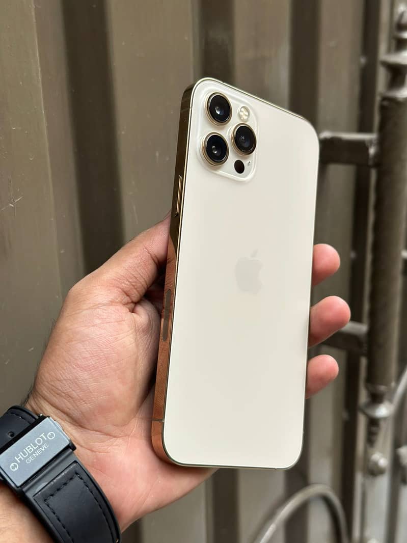 Apple iPhone 12 Pro Max 1