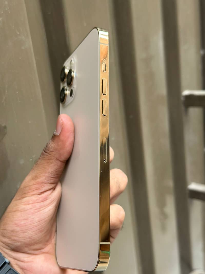 Apple iPhone 12 Pro Max 2