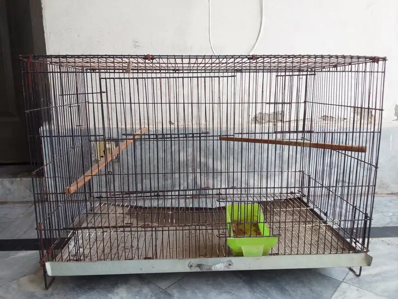 cages and love birds for sale number for Whatsapp +92 328 7010165 — photo 3