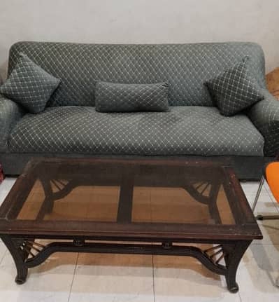 Sofa with Cushion and Center Table