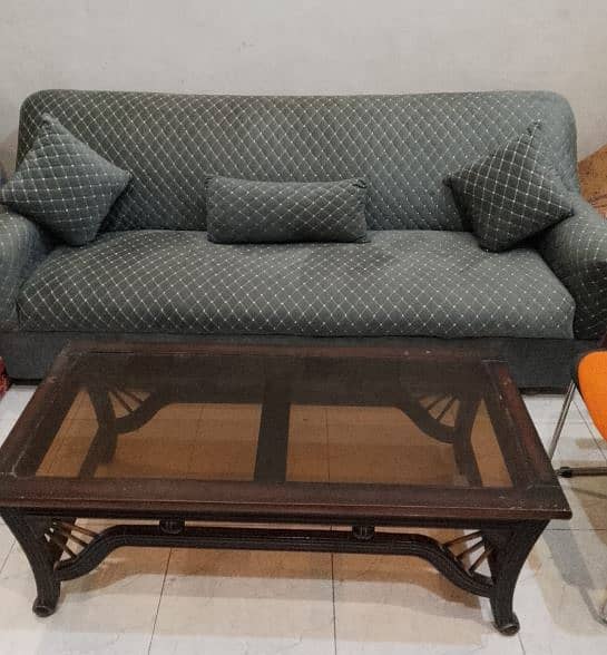 Sofa with Cushion and Center Table 0