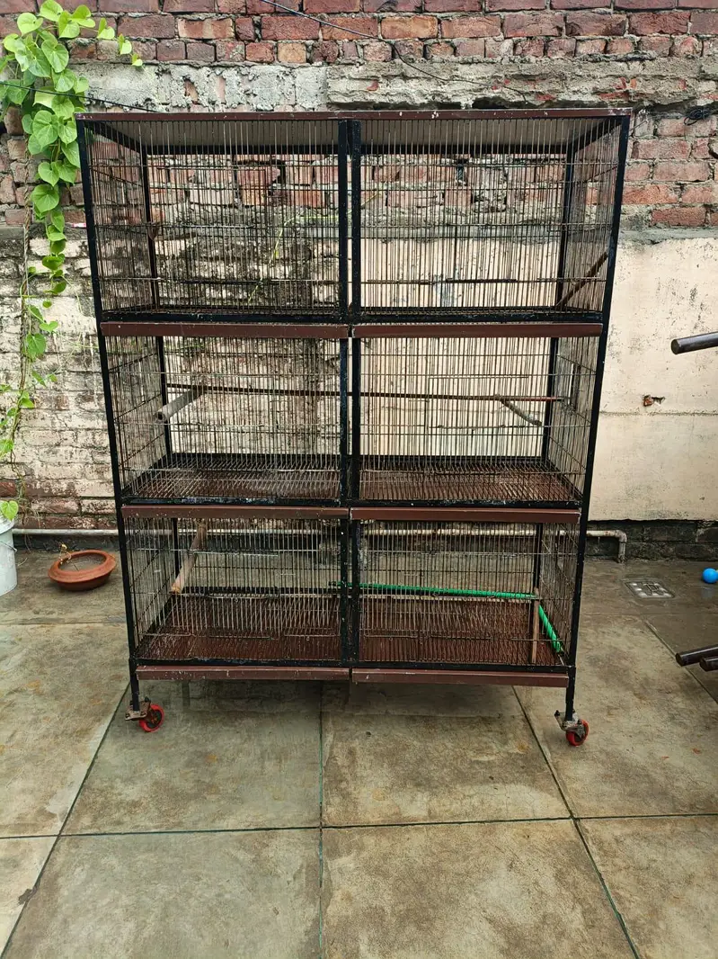 6 Portion Cage For sale — photo 2