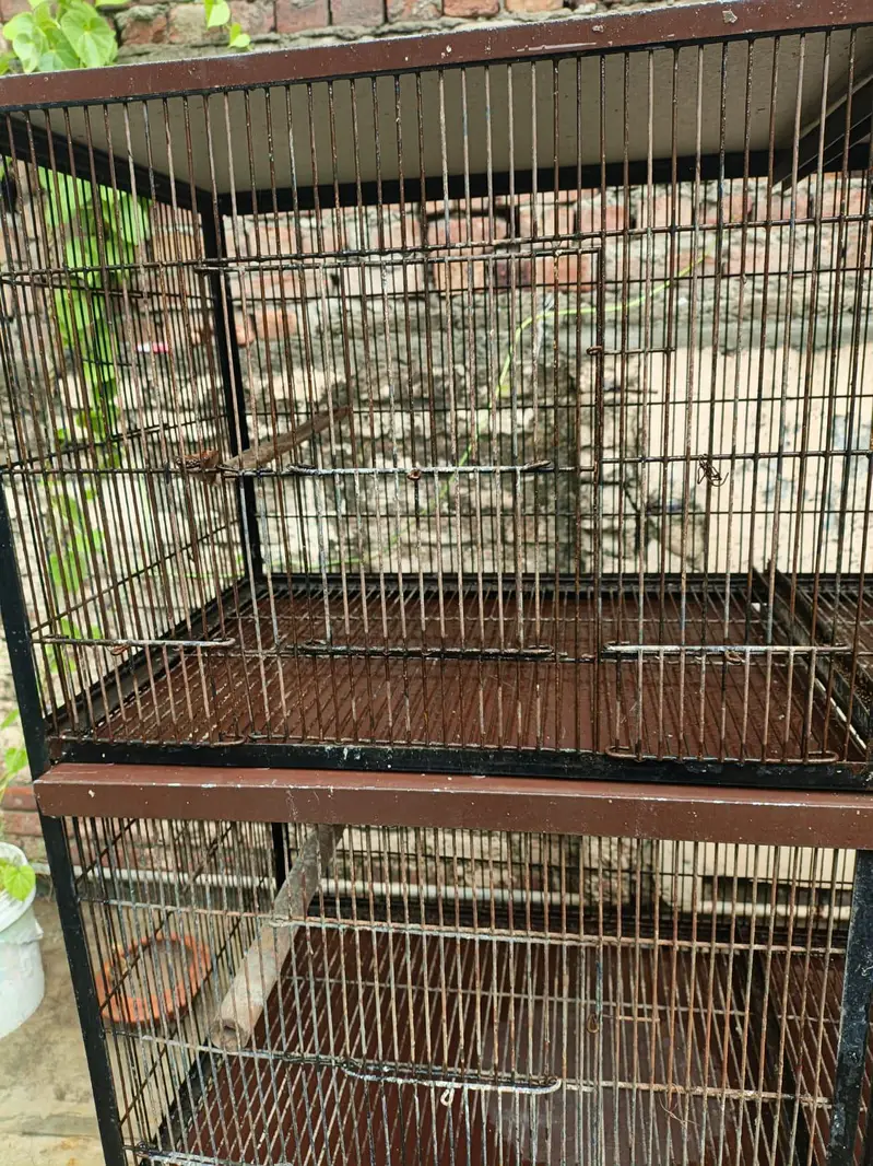 6 Portion Cage For sale — photo 3