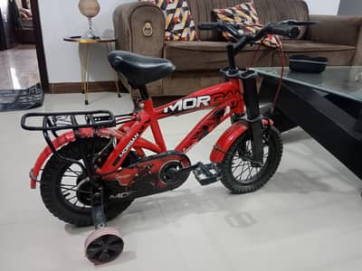 Morgan cycle for kids