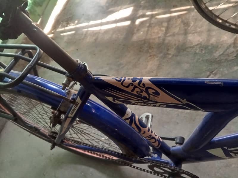 bicycle  best conditioned full size 0