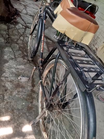 Bicycle full size best conditioned