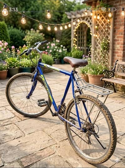 bycycal for sale