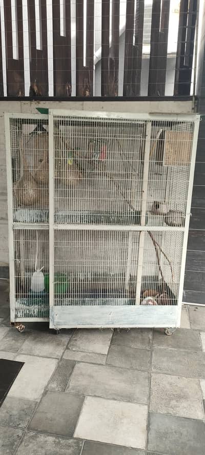 Bird cabin