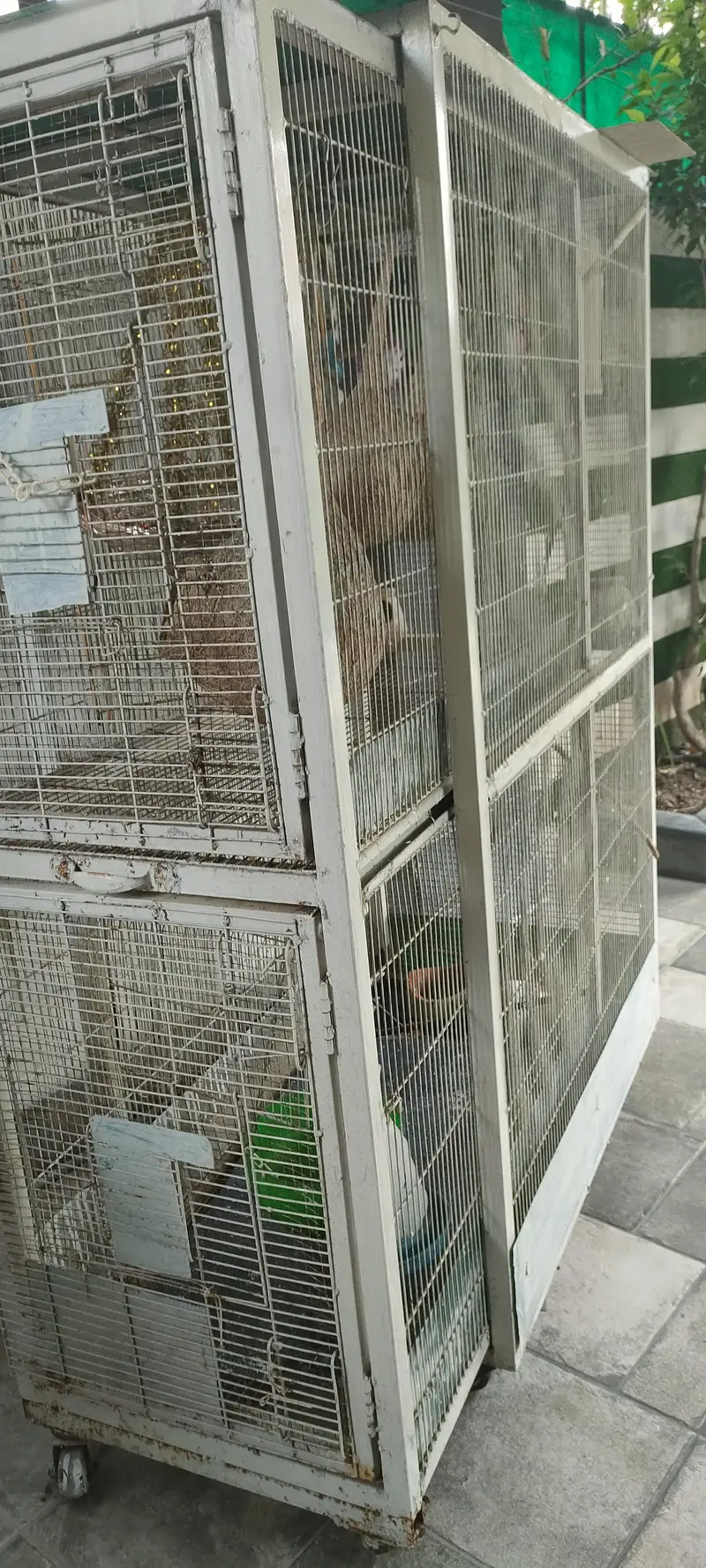 Bird cabin — photo 2