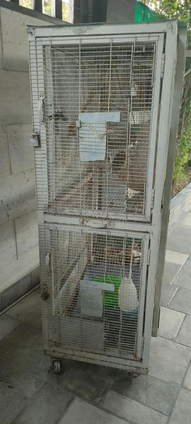 Bird cabin — photo 3