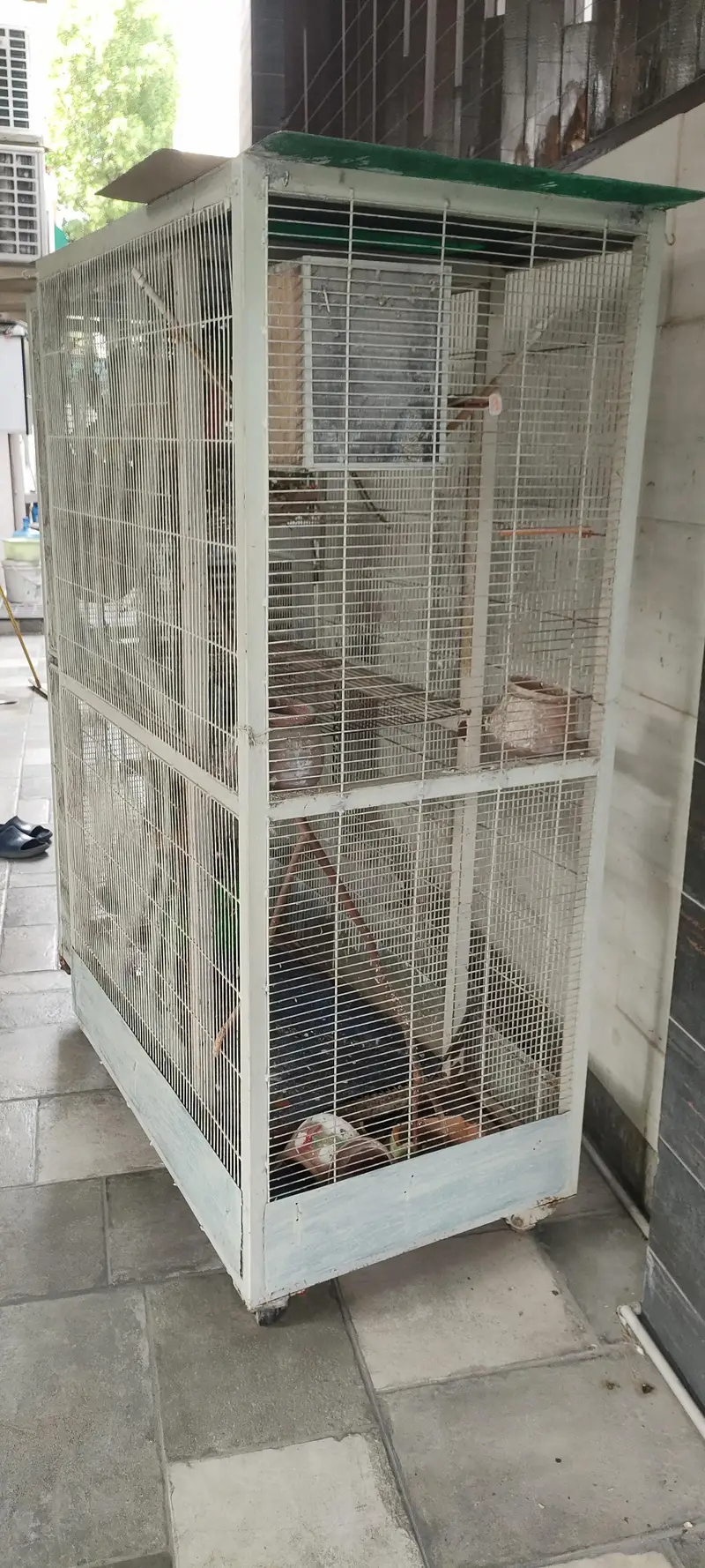Bird cabin — photo 4