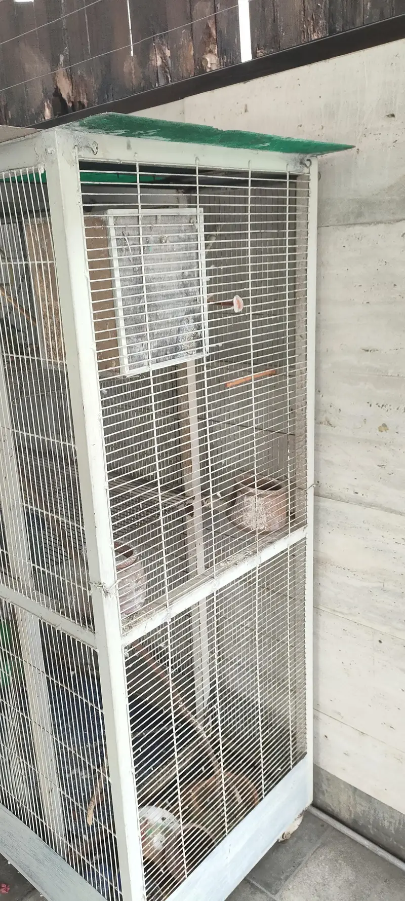 Bird cabin — photo 6