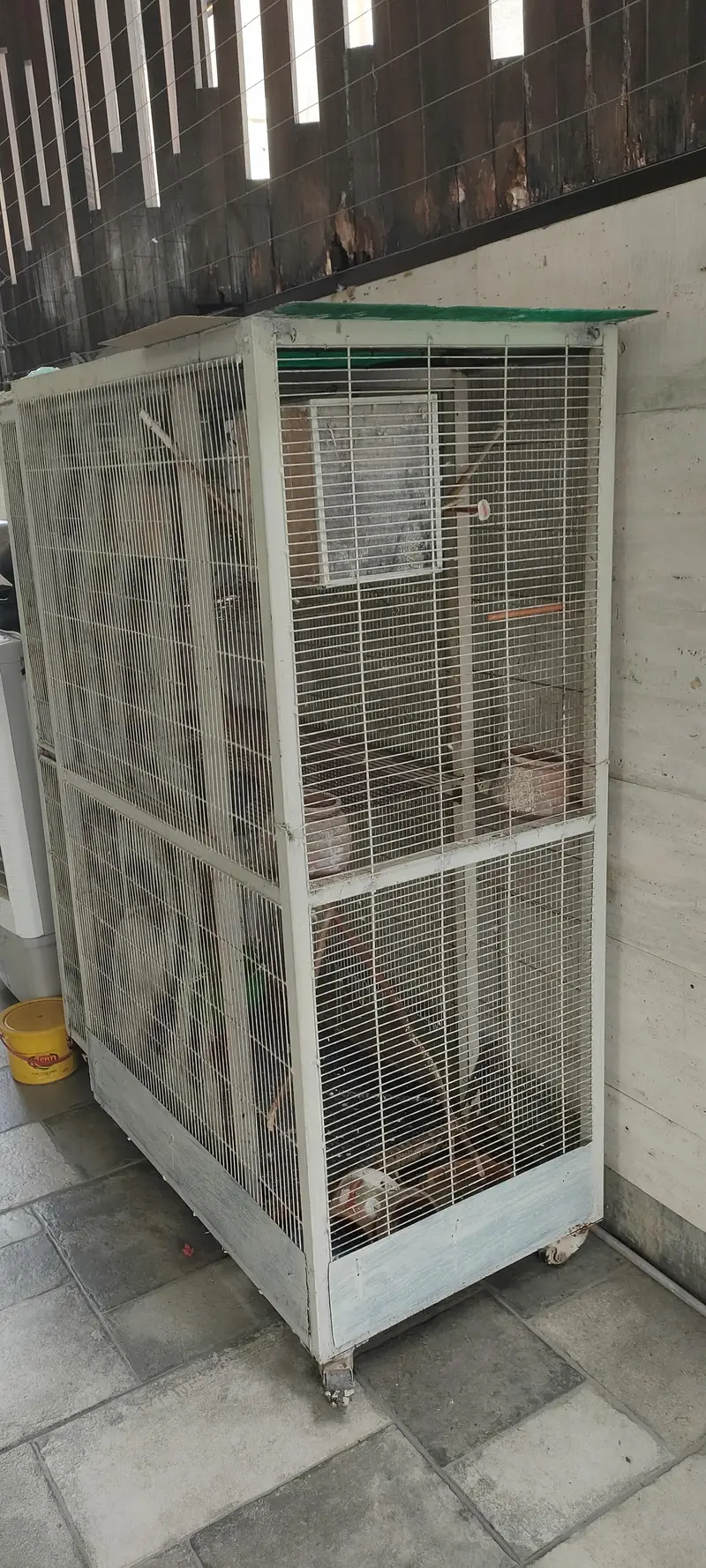Bird cabin — photo 7
