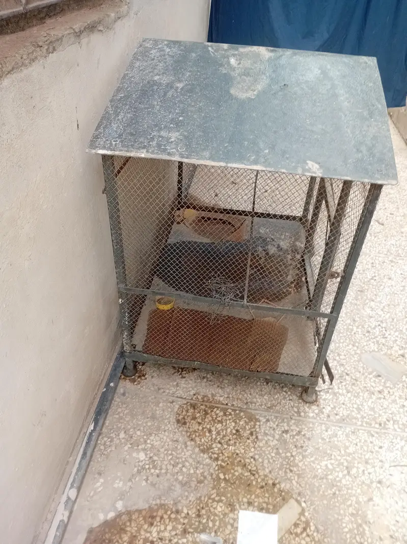 pinjara — photo 2