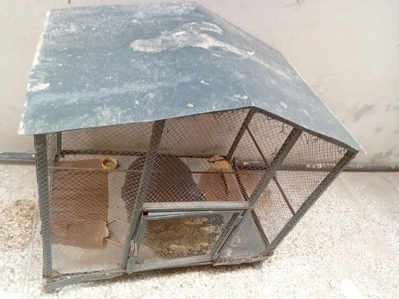 pinjara — photo 3