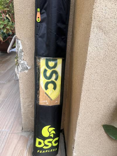 DSC INVINCIBLE and UT Bats