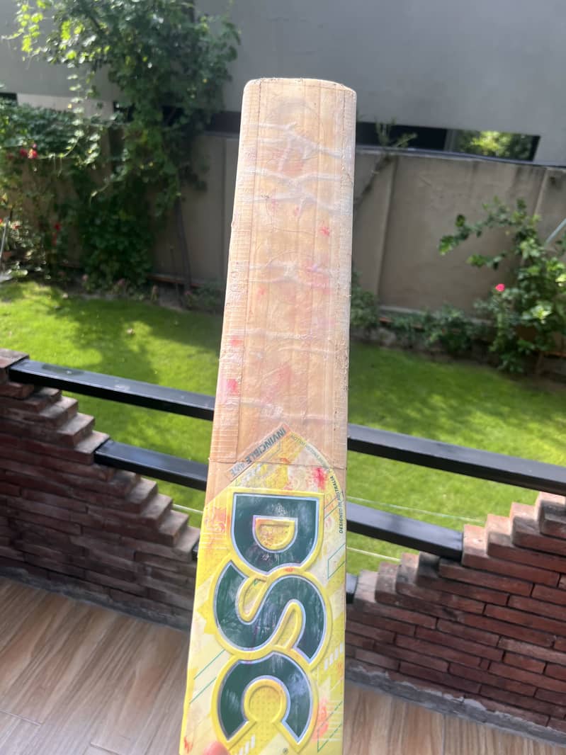 DSC INVINCIBLE and UT Bats 1