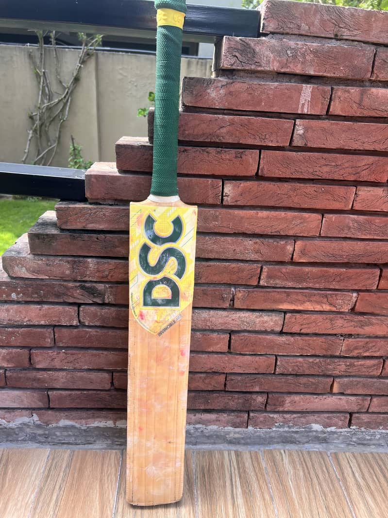 DSC INVINCIBLE and UT Bats 2