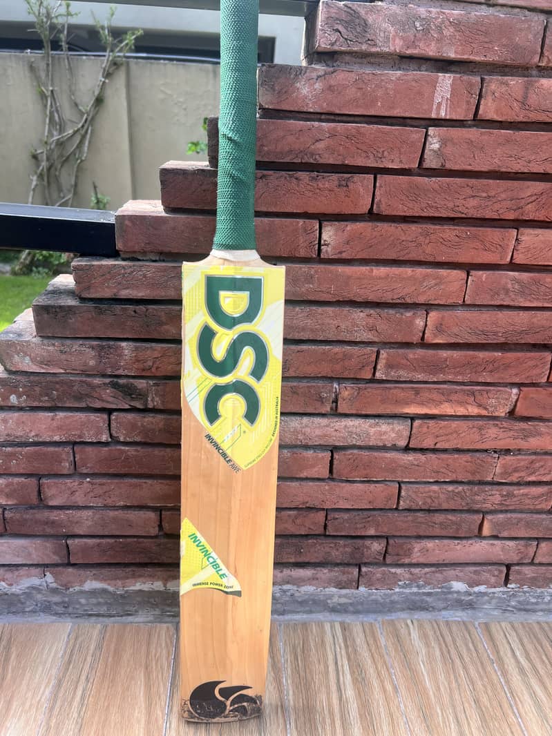 DSC INVINCIBLE and UT Bats 3