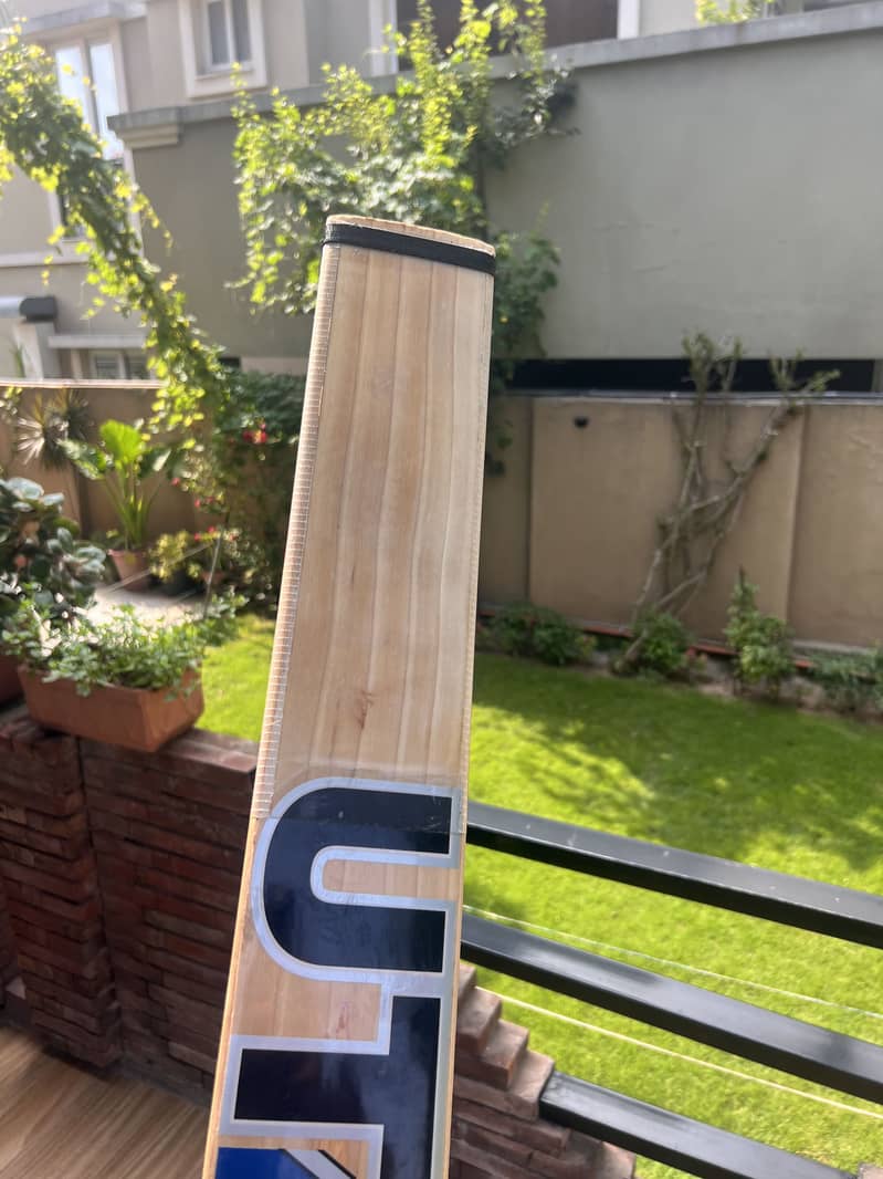 DSC INVINCIBLE and UT Bats 4