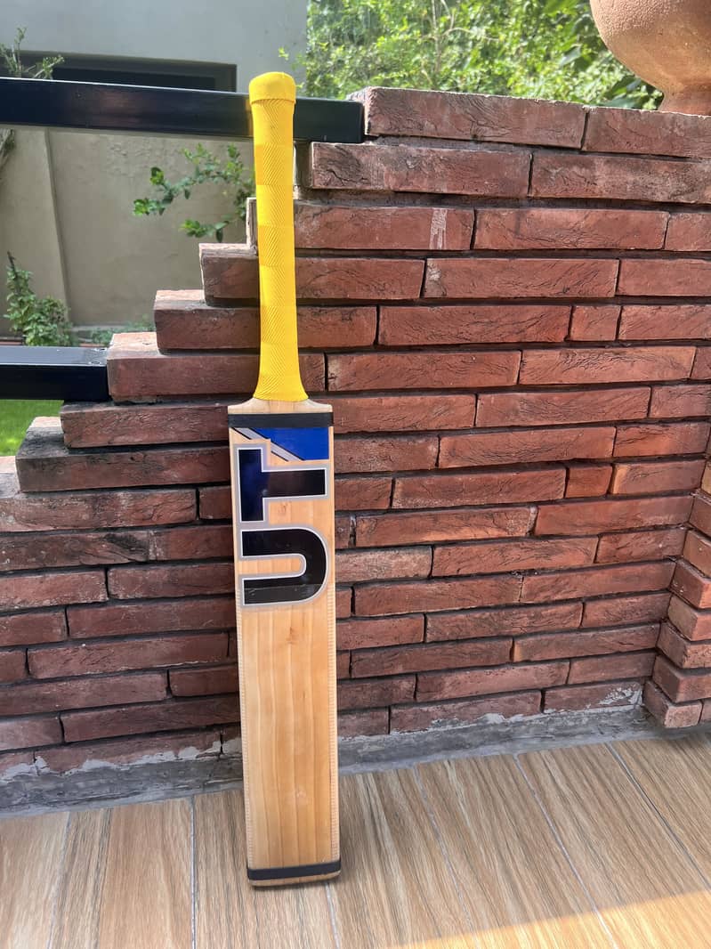 DSC INVINCIBLE and UT Bats 5