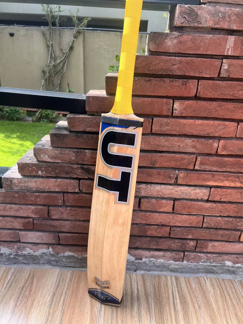 DSC INVINCIBLE and UT Bats 6
