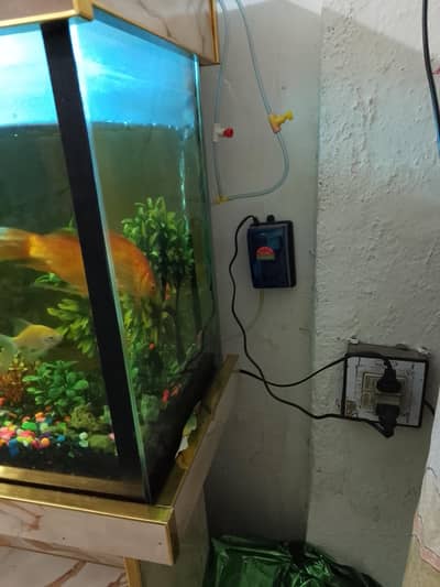 fish tankar