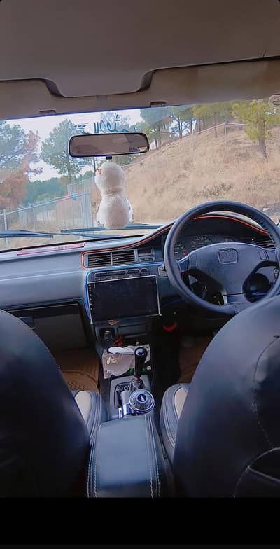civic eg dolphin